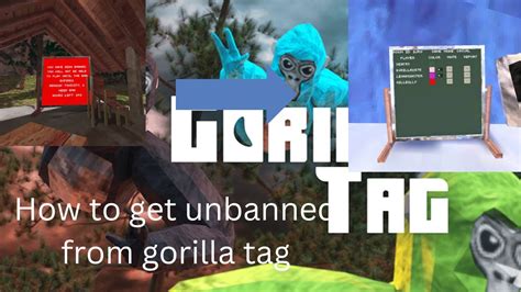 thank you so much that helps me thanks. . How to get unbanned in gorilla tag